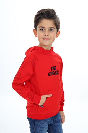 Toontoy Erkek Çocuk Nakışlı Sweatshirt