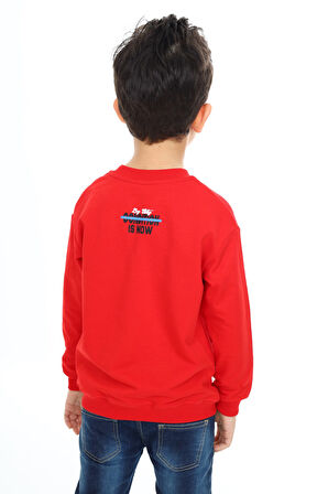 Toontoy Erkek Çocuk Baskılı Sweatshirt