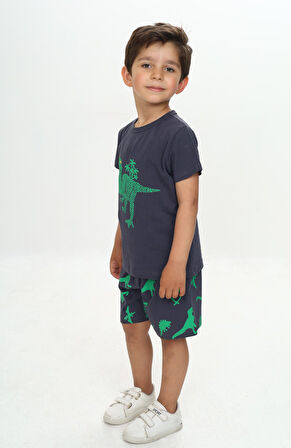 Toontoy Erkek Çocuk Kabaran Dinazor Baskılı Şortlu Takım
