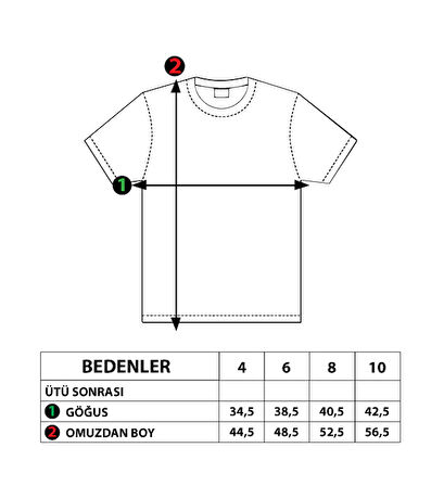 Toontoy Erkek Çocuk Araba Baskılı Tişört