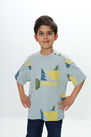 Toontoy Erkek Çocuk Renkli Grafik Baskılı Tişört