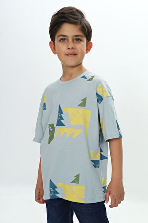Toontoy Erkek Çocuk Renkli Grafik Baskılı Tişört