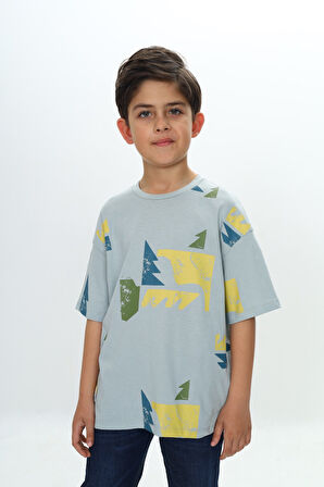Toontoy Erkek Çocuk Renkli Grafik Baskılı Tişört