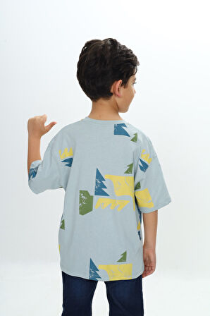 Toontoy Erkek Çocuk Renkli Grafik Baskılı Tişört