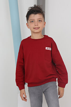 Toontoy Erkek Çocuk Baskılı Sweatshirt