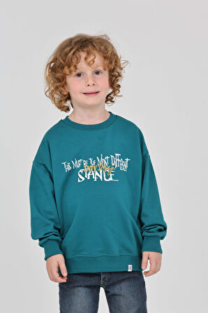 Toontoy Erkek Çocuk Tnty Design Baskılı Sweatshirt