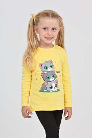 Toontoy Kız Çocuk Üçlü Kedi Baskılı Sweatshirt