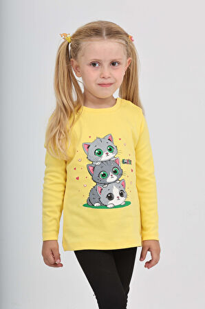 Toontoy Kız Çocuk Üçlü Kedi Baskılı Sweatshirt