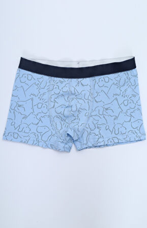 Toontoy Erkek Çocuk Çok Desenli 4lü Paket Boxer 