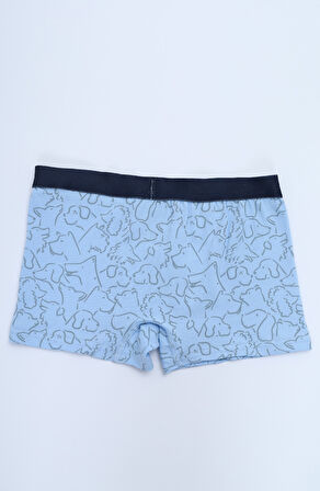 Toontoy Erkek Çocuk Çok Desenli 4lü Paket Boxer 