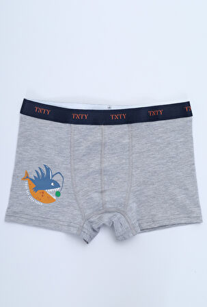 Toontoy Erkek Çocuk Çok Desenli 4lü Paket Boxer 