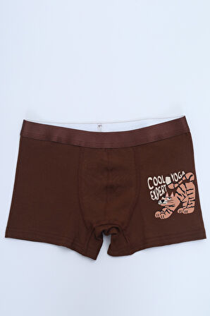 Toontoy Erkek Çocuk Çok Desen Baskılı 4lü Paket Boxer 