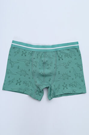 Toontoy Erkek Çocuk Çok Desenli 4lü Paket Boxer 