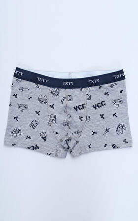 Toontoy Erkek Çocuk Çok Desenli 4lü Paket Boxer 