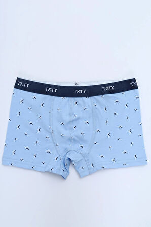 Toontoy Erkek Çocuk Garni Dikişli 4lü Paket Boxer 