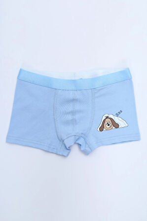 Toontoy Erkek Çocuk Garni Dikişli 4lü Paket Boxer 