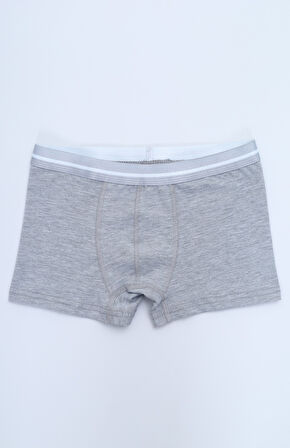 Toontoy Erkek Çocuk Garni Dikişli 4lü Paket Boxer 