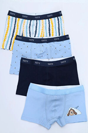 Toontoy Erkek Çocuk Garni Dikişli 4lü Paket Boxer 