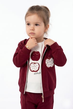 Toontoy Kız Çocuk 3'lü Eşofman Takımı Uzun Kollu Bisiklet Yaka Nakışlı T-shirt - Kapüşonlu Fermuarlı Hırka- Beli Paçası Lastikli Eşofman Altı 25040