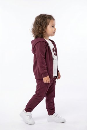 Toontoy Kız Çocuk 3'lü Eşofman Takımı Uzun Kollu Bisiklet Yaka Nakışlı T-shirt - Kapüşonlu Fermuarlı Hırka- Beli Paçası Lastikli Eşofman Altı 25042