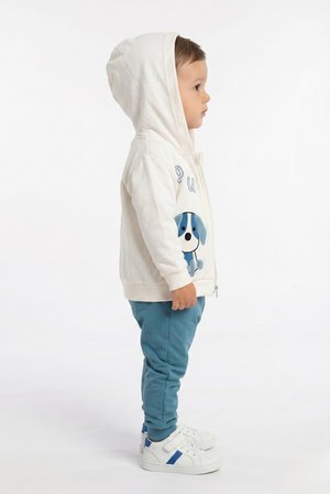 Toontoy Erkek Çocuk 3'lü Eşofman Takımı Uzun Kollu Bisiklet Yaka Nakışlı T-shirt - Kapüşonlu Fermuarlı Hırka- Beli Paçası Lastikli Eşofman Altı 25043