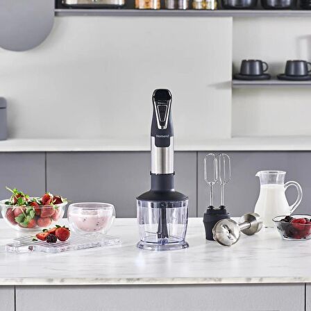 Homend Handmaid 1965h Inox Çelik Bıçaklı Blender Set