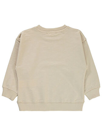 Civil Boys Erkek Çocuk Sweatshirt 2-5 Yaş Taş Rengi