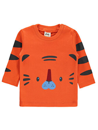 Civil Baby Erkek Bebek Takım 6-18 Ay Yeşil