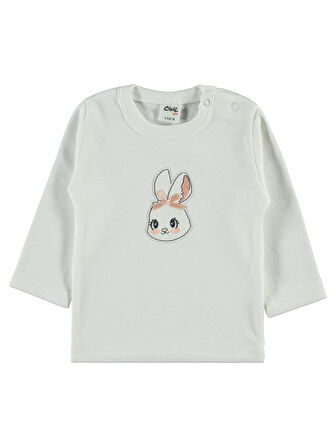 Civil Baby Kız Bebek 3'lü Takım 6-18 Ay Pudra