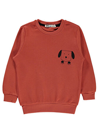 Civil Boys Erkek Çocuk Sweatshirt 2-5 Yaş Kiremit