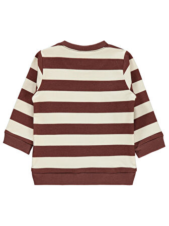 Civil Baby Erkek Bebek Sweatshirt 6-18 Ay Çikolata Kahve
