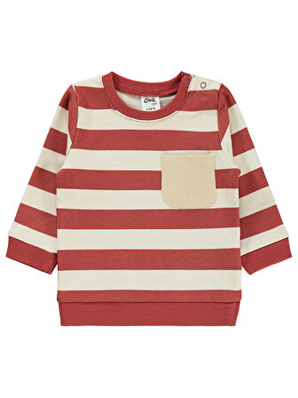 Civil Baby Erkek Bebek Sweatshirt 6-18 Ay Kiremit