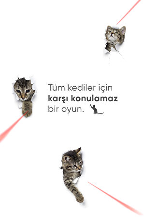 Akıllı Kedi Oyuncağı