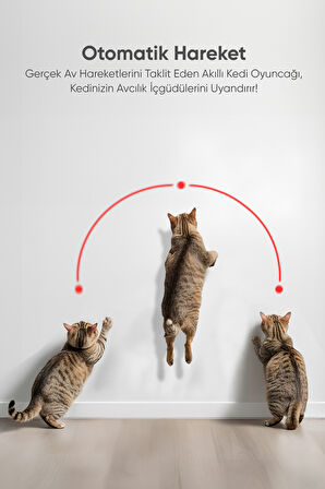 Akıllı Kedi Oyuncağı