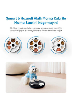 Şımart 6 Hazneli Akıllı Mama Kabı Uygulama Kontrollü, Soğutuculu, Yaş Mama Uyumlu