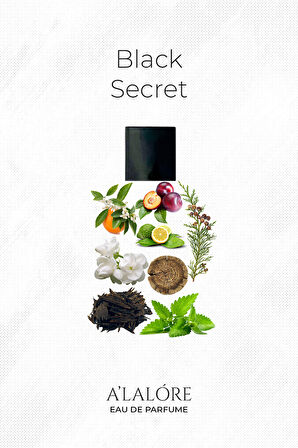 Black Secret Erkek Parfüm Edp - 100 ml