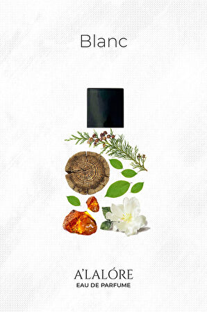 Blanc Erkek Parfüm Edp - 100 ml