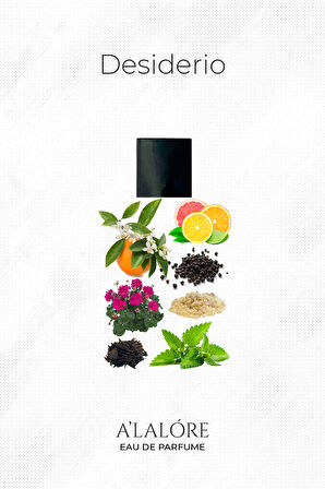 Desiderio Erkek Parfüm Edp - 100 ml