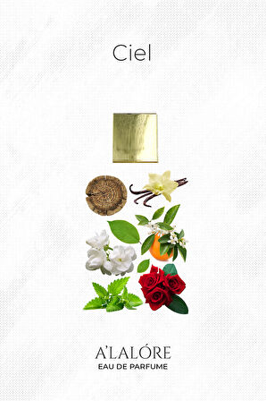 Hafif ve Zarif Eşsiz Kadın Kokusuyla Ciel Parfüm EDP - 100 ml