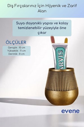 Diş Fırçalığı Diş Fırçalık Diş Fırçası Standı Diş Fırçası Tutucu Siyah Renk Model 88