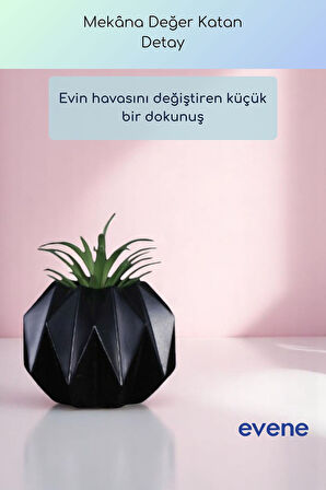 Saksı Dekoratif Saksı Kaktüs Saksısı Sukulent Saksısı Küçük Saksı Model 45 Siyah Saksı