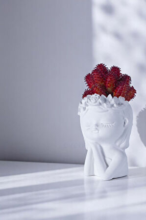 Saksı Dekoratif Saksı Kaktüs Saksısı Sukulent Saksısı Küçük Saksı Model 47 Altın Saksı