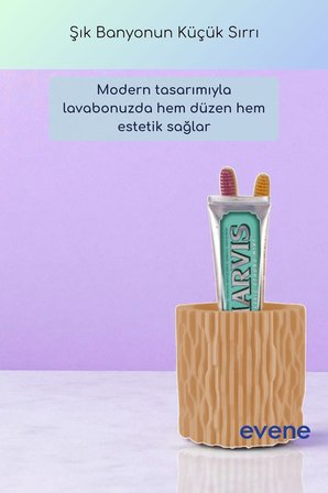 Diş Fırçalığı Diş Fırçalık Diş Fırçası Standı Diş Fırçası Tutucu Siyah Renk Model 78