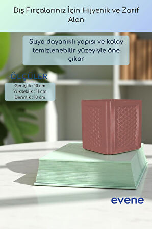 Diş Fırçalığı Diş Fırçalık Diş Fırçası Standı Diş Fırçası Tutucu Altın Renk Model 86