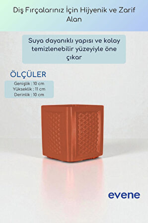 Diş Fırçalığı Diş Fırçalık Diş Fırçası Standı Diş Fırçası Tutucu Altın Renk Model 86
