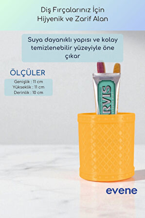 Diş Fırçalığı Diş Fırçalık Diş Fırçası Standı Diş Fırçası Tutucu Altın Renk Model 90