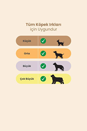 Eva & Wall-e Köpek Kemiği Halka Kolajen Çubuklar, Köpekler için Diş, Eklem ve Tüy sağlığını destekler 2' li