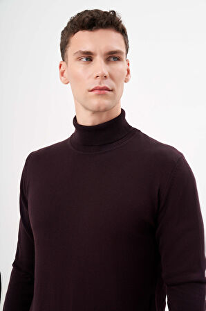  Erkek Mor Basic Balıkçı Yaka Dynamic Fit Rahat Kesim Triko