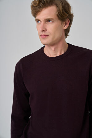  Erkek Mor Basic Bisiklet Yaka Dynamic Fit Rahat Kesim Triko