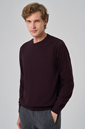  Erkek Mor Basic Bisiklet Yaka Dynamic Fit Rahat Kesim Triko